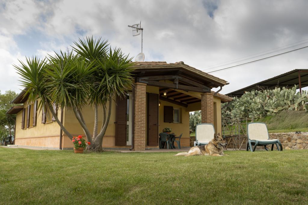 Agriturismo Cupido Montiano (Tuscany) Exterior foto
