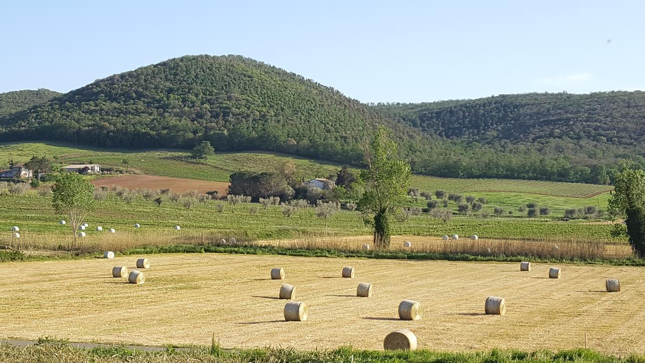 Agriturismo Cupido Montiano (Tuscany) Exterior foto